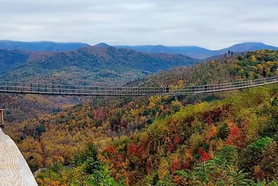 view of the SkyBridge with fall foliage