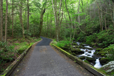 Roaring,Fork,Motor,Nature,Trail,,Great,Smokey,Mountains,National,Park