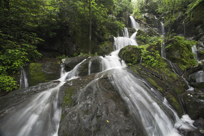 Place of a Thousand Drips along Roaring Fork Motor Nature Trail