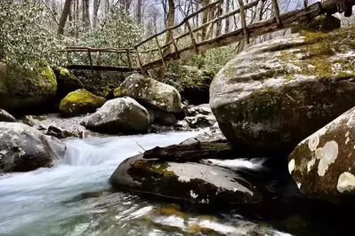 porters creek trail