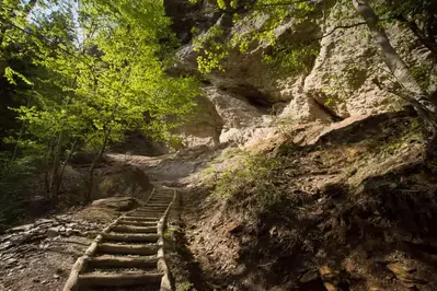 Alum Cave Trail