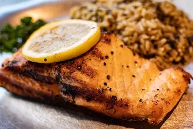 salmon