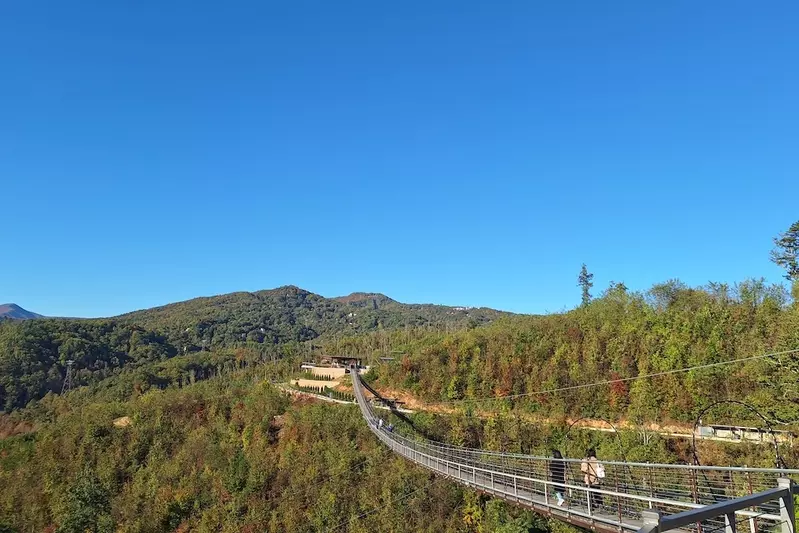 Gatlinburg SkyBridge