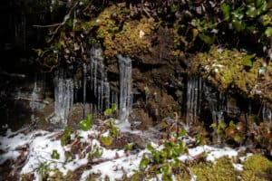 icicles along the Alum Cave Trail in the Smoky Mountains